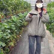 ヒメ日記 2025/04/10 14:26 投稿 なつき 元祖ぽちゃカワ倶楽部