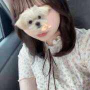 ヒメ日記 2025/05/18 14:16 投稿 なつき 元祖ぽちゃカワ倶楽部