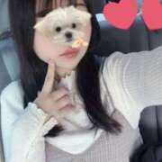 ヒメ日記 2025/06/08 12:56 投稿 なつき 元祖ぽちゃカワ倶楽部