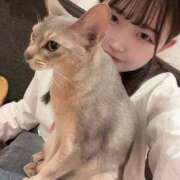 ヒメ日記 2025/09/12 12:26 投稿 なつき 元祖ぽちゃカワ倶楽部