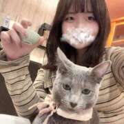 ヒメ日記 2025/10/03 11:46 投稿 なつき 元祖ぽちゃカワ倶楽部