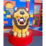 ヒメ日記 2025/02/24 17:20 投稿 かのん【梅田堂山女学院】 梅田堂山女学院