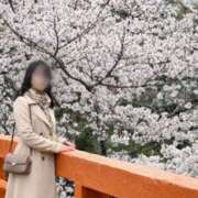 ヒメ日記 2026/04/01 12:09 投稿 なつみ(昭和54年生まれ) 熟年カップル名古屋～生電話からの営み～