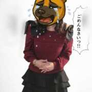 ヒメ日記 2026/04/14 17:57 投稿 なつみ(昭和54年生まれ) 熟年カップル名古屋～生電話からの営み～