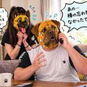 ヒメ日記 2026/10/14 06:40 投稿 なつみ(昭和54年生まれ) 熟年カップル名古屋～生電話からの営み～