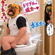 ヒメ日記 2026/10/16 06:56 投稿 なつみ(昭和54年生まれ) 熟年カップル名古屋～生電話からの営み～