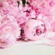 ヒメ日記 2024/12/16 17:02 投稿 永遠(とわ) グランドオペラ横浜