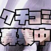 ヒメ日記 2026/03/14 00:18 投稿 みつりさん いけない奥さん 十三店