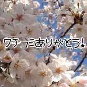 ヒメ日記 2026/01/13 15:18 投稿 みつりさん いけない奥さん 梅田店