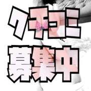 ヒメ日記 2026/04/02 00:18 投稿 みつりさん いけない奥さん 梅田店