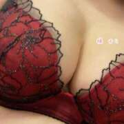 ヒメ日記 2025/06/18 07:15 投稿 橘 ゆり SUMIRE