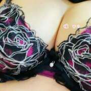 ヒメ日記 2025/06/22 07:15 投稿 橘 ゆり SUMIRE