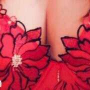 ヒメ日記 2025/07/31 14:00 投稿 橘 ゆり SUMIRE