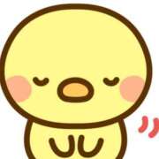 ヒメ日記 2025/11/06 11:19 投稿 橘 ゆり SUMIRE