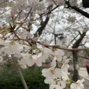 ヒメ日記 2025/03/31 17:19 投稿 けいこ G-STAGE