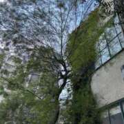 ヒメ日記 2025/11/21 11:38 投稿 川端舞衣 五十路マダム 岐阜店