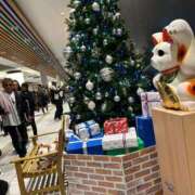 ヒメ日記 2025/12/04 19:14 投稿 川端舞衣 五十路マダム 岐阜店