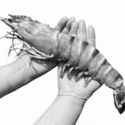 ヒメ日記 2025/03/17 19:08 投稿 はつみ 東京妻