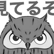 ヒメ日記 2025/03/26 21:08 投稿 はつみ 東京妻