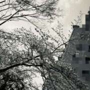 ヒメ日記 2025/03/31 11:18 投稿 はつみ 東京妻