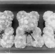 ヒメ日記 2025/04/23 09:28 投稿 はつみ 東京妻