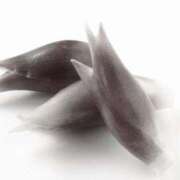 ヒメ日記 2025/05/19 20:36 投稿 はつみ 東京妻