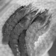 ヒメ日記 2025/06/09 09:03 投稿 はつみ 東京妻