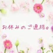 ヒメ日記 2025/01/19 08:33 投稿 アリス ミセスコレクション