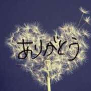 ヒメ日記 2025/01/29 06:13 投稿 アリス ミセスコレクション