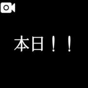 ヒメ日記 2024/12/28 09:43 投稿 サリナ ミセスコレクション