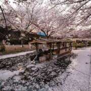 ヒメ日記 2025/04/03 16:46 投稿 【熟女】こなつ 人妻華道－上田店