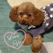 ヒメ日記 2026/03/22 14:18 投稿 あいか 体感サロン マチルダとベロニカ