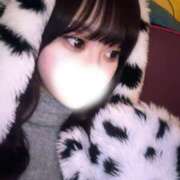 ヒメ日記 2026/04/06 09:39 投稿 ゆらり【FG系列】 フィーリングin横浜