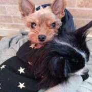 ヒメ日記 2025/02/05 15:06 投稿 桜木優 五十路マダムエクスプレス船橋店(カサブランカグループ)