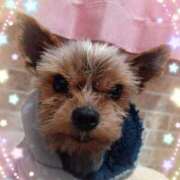 ヒメ日記 2025/03/04 10:20 投稿 桜木優 五十路マダムエクスプレス船橋店(カサブランカグループ)