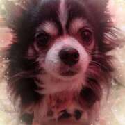 ヒメ日記 2025/03/09 09:24 投稿 桜木優 五十路マダムエクスプレス船橋店(カサブランカグループ)