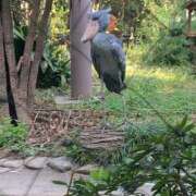 ヒメ日記 2025/01/20 21:45 投稿 相川-あいかわ MSC 妄想紳士倶楽部 鶯谷店