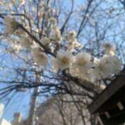 ヒメ日記 2025/03/03 06:44 投稿 相川-あいかわ MSC 妄想紳士倶楽部 鶯谷店