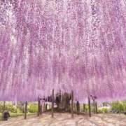 ヒメ日記 2025/05/01 07:11 投稿 丘咲(おかざき) 熟女出逢い会 『百合の園』 五反田店