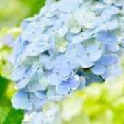 ヒメ日記 2025/05/30 17:21 投稿 丘咲(おかざき) 熟女出逢い会 『百合の園』 五反田店