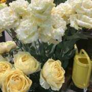 ヒメ日記 2025/06/07 10:41 投稿 丘咲(おかざき) 熟女出逢い会 『百合の園』 五反田店