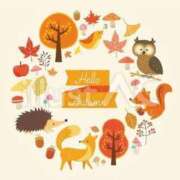 ヒメ日記 2025/10/06 15:41 投稿 丘咲(おかざき) 熟女出逢い会 『百合の園』 五反田店