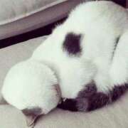 ヒメ日記 2026/01/20 20:21 投稿 丘咲(おかざき) 熟女出逢い会 『百合の園』 五反田店