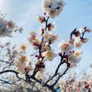 綾香(あやか) 早い、、 女々艶 厚木店