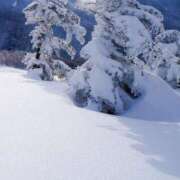 ヒメ日記 2026/02/09 15:10 投稿 清井 華恋人(カレント)