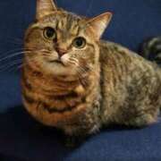 ヒメ日記 2026/02/24 12:13 投稿 清井 華恋人(カレント)