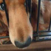 ヒメ日記 2026/03/30 10:56 投稿 清井 華恋人(カレント)