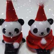 ヒメ日記 2024/12/14 00:16 投稿 一咲若葉(いちさきわかば) 五十路マダムエクスプレス厚木店(カサブランカグループ)