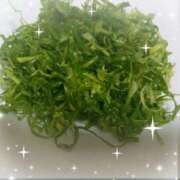 ヒメ日記 2025/02/04 21:04 投稿 一咲若葉(いちさきわかば) 五十路マダムエクスプレス厚木店(カサブランカグループ)