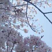 ヒメ日記 2025/04/03 09:28 投稿 一咲若葉(いちさきわかば) 五十路マダムエクスプレス厚木店(カサブランカグループ)